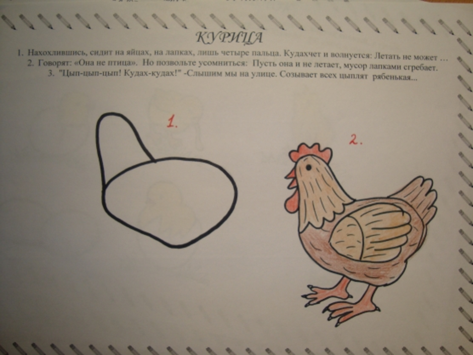 Курица легко и быстро. Курица карандашом. Курица поэтапно. Курица рисунок легкий. Курица поэтапно карандашом.