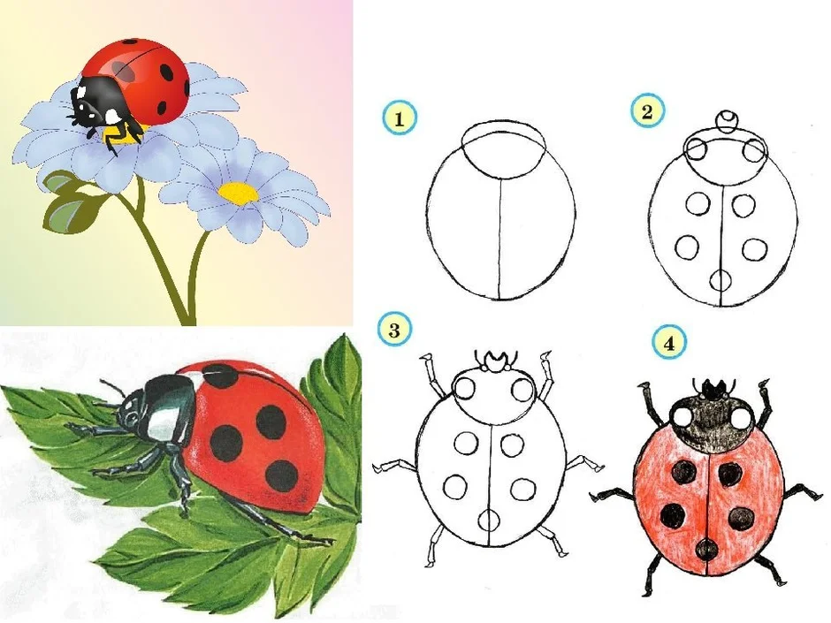 Рисунок божья коровка 2 класс