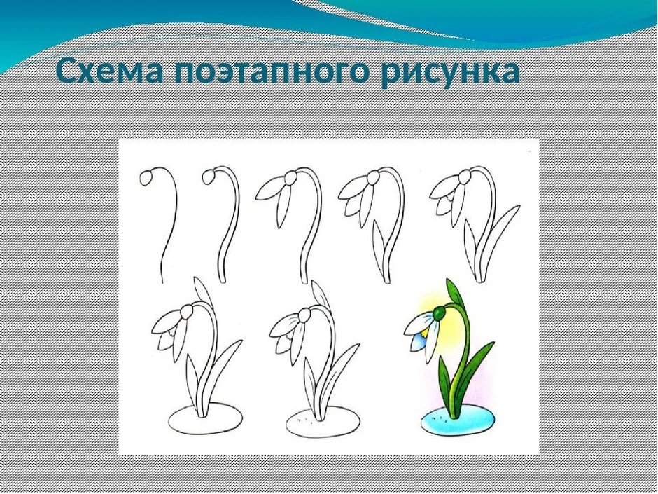 Как рисовать ландыш карандашом