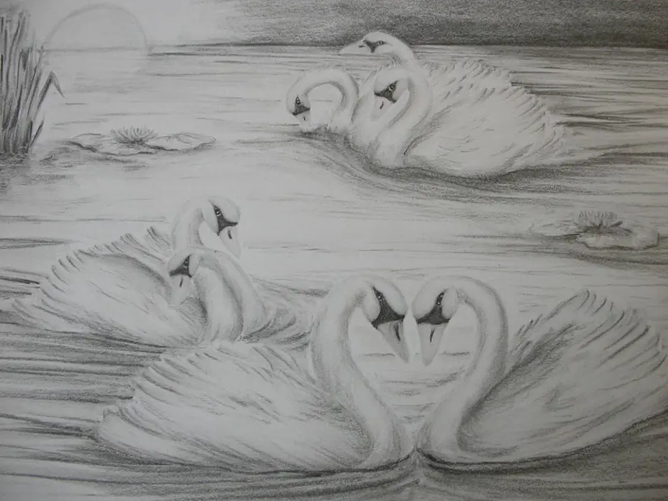 Нарисовать рисунок лебедушка. Картины карандашом. Рисунки карандашом природа. Картина "лебеди". Лебедь набросок.