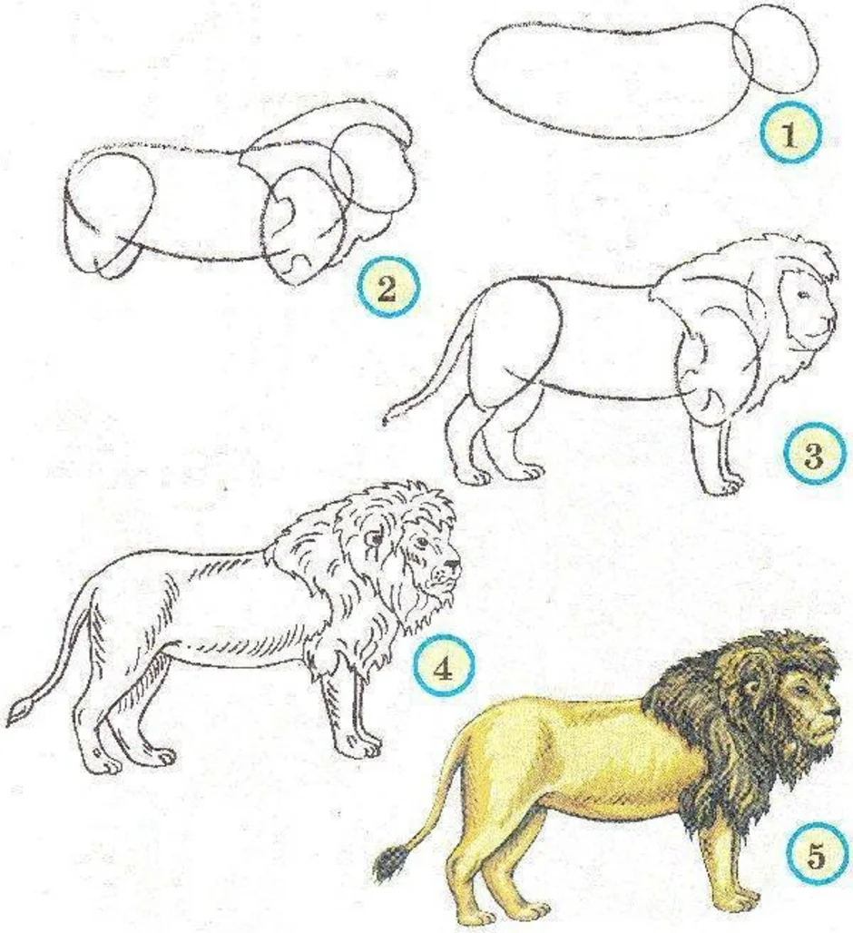 Лев 1 класс рисунок