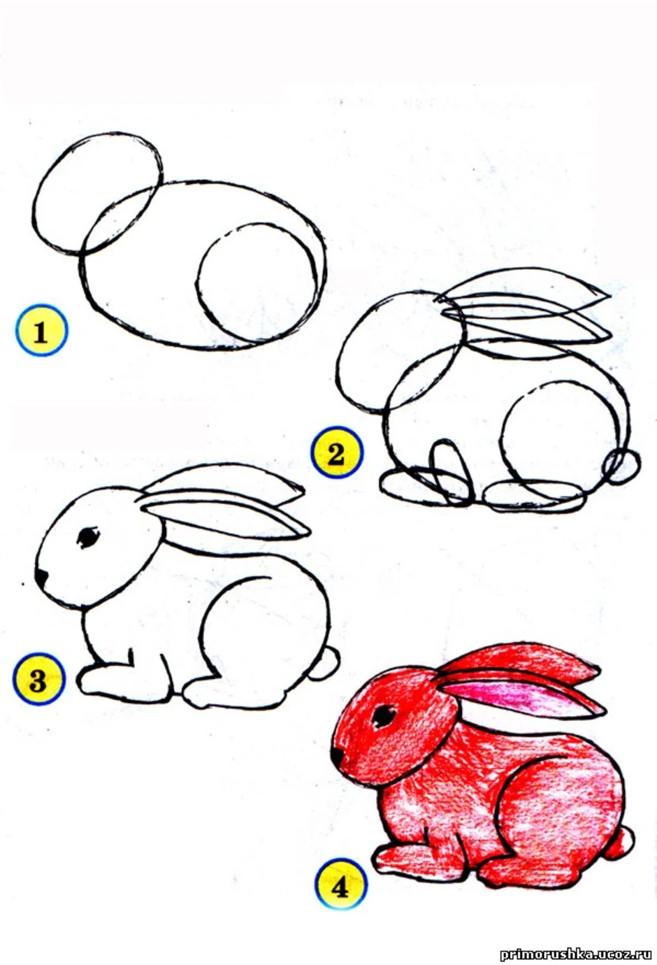 Учимся рисовать детям 4 года. Рисование для детей. Поэтапное рисование. Рисование для детей рисование для детей. Рисование животных для детей.