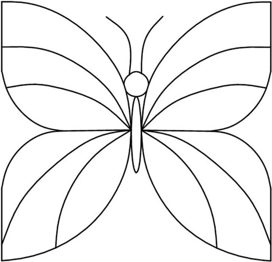 Симметричные бабочки рисунки