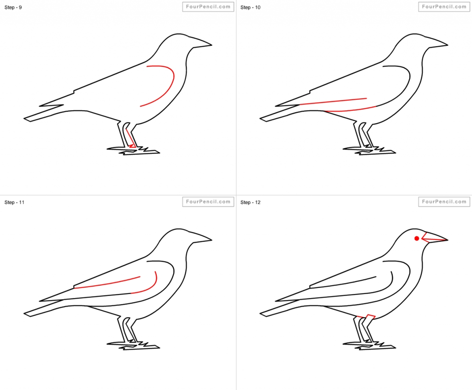 Как нарисовать птицу ворона