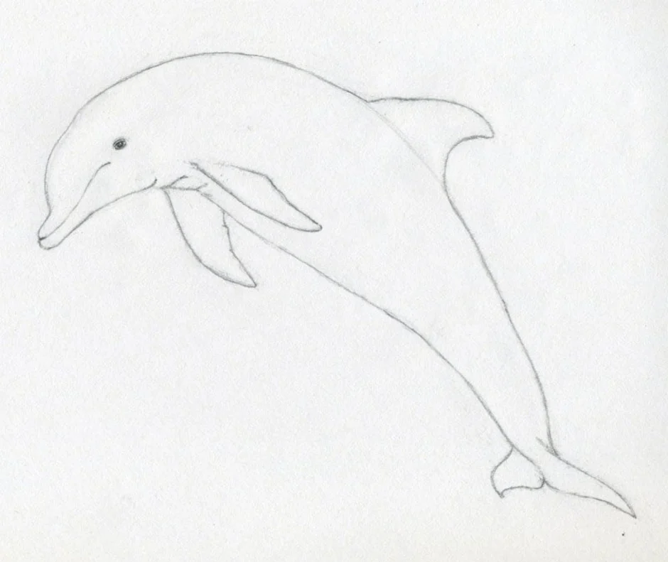 Простые рисунки 7 класса. Дельфин рисунок карандашом. Рисунки карандашом на свободную тему. Рисунки на свободную тему легкие. Рисунок для срисовки легкий.