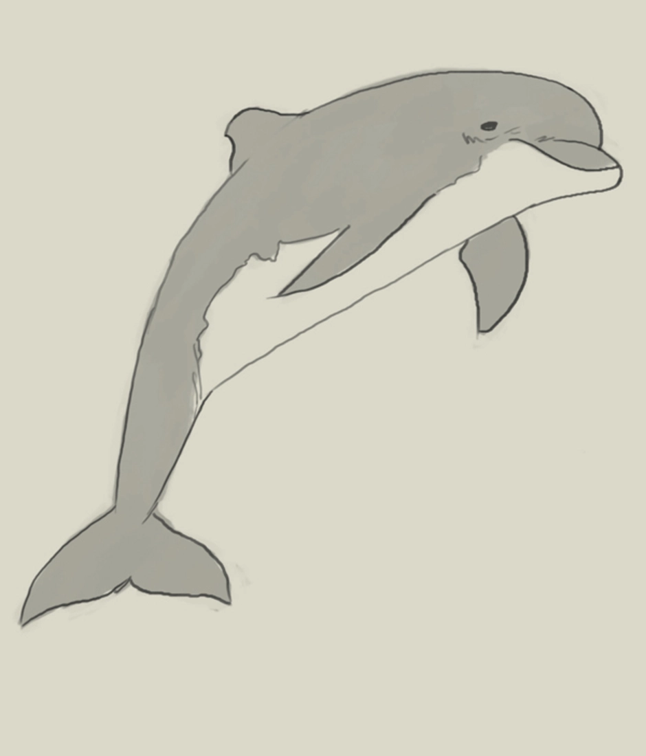 Дельфир. Дельфин рисунок. Дельфин рисунок карандашом. Дельфин для срисовки карандашом. Картинки дельфина для срисовки.