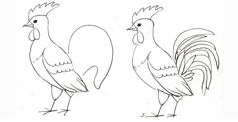 Петух рисунок 1 класс. Петух раскраска. Петух рисунок карандашом. Рисунки петуха для срисовки. Рисование домашние птицы.