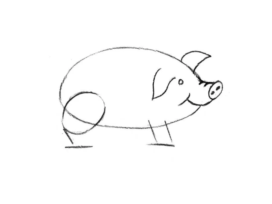 Свинка для срисовки. Свинья для рисования. Рисование поросенок. Свинья рисунок для детей карандашом. Поросенок рисунок карандашом.