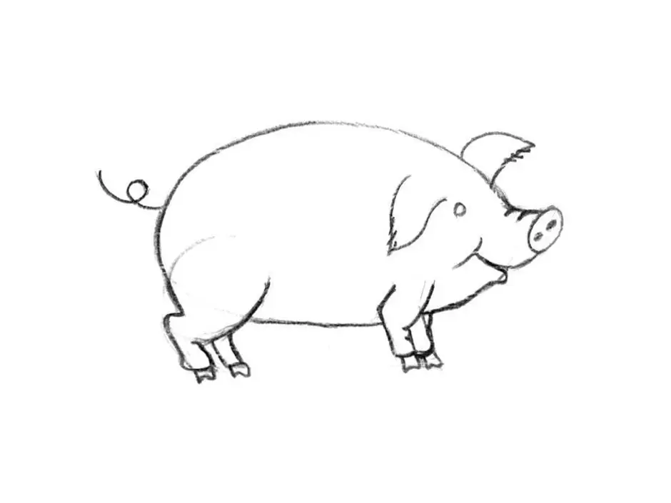 Свинья карандашом. Нарисовать свинью. Свинья рисунок карандашом. Нарисовать поросенка. Поросенок карандашом.