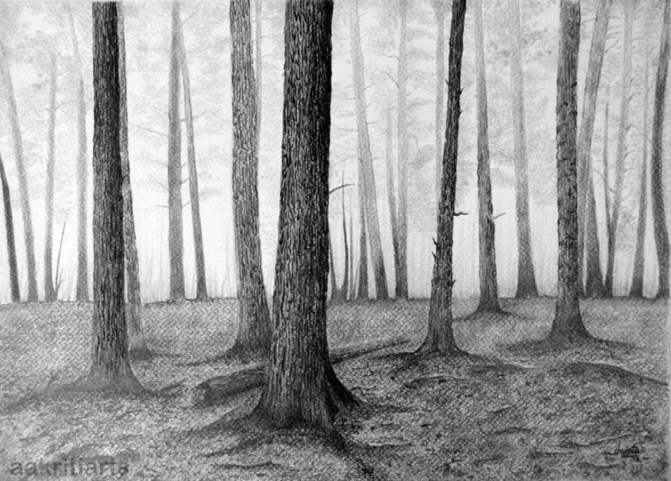 Лес карандашом легко. Лес карандашом. Лес рисунок. Лес карандашный рисунок. Красивый лес карандашом.