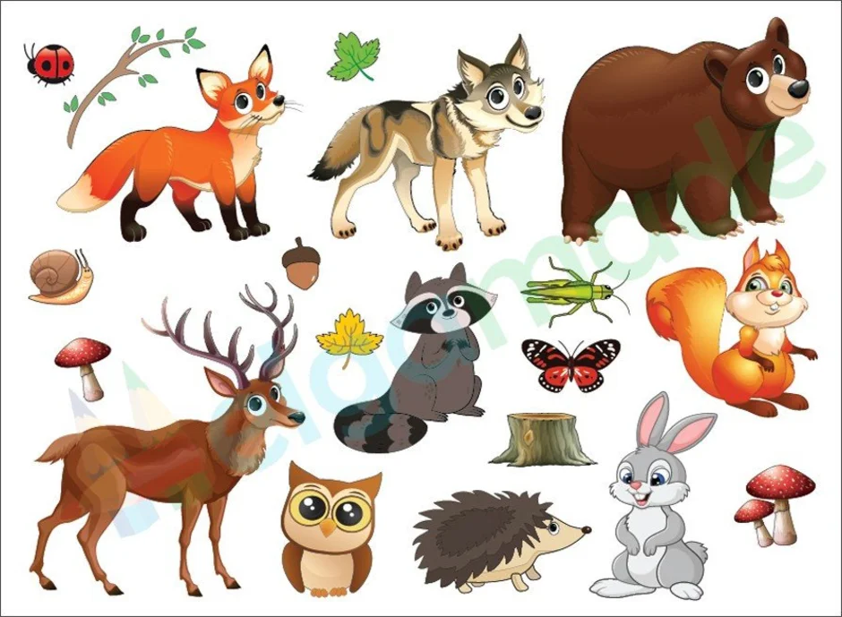 Лесные звери для детей
