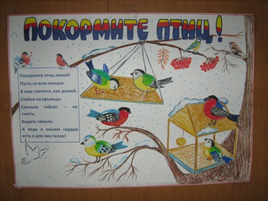Конкурс напиши статью. Плакат птицы. Как помочь животным в зимнее время. Плакат на тему птицы. Плакат поможем зимующим птицам.