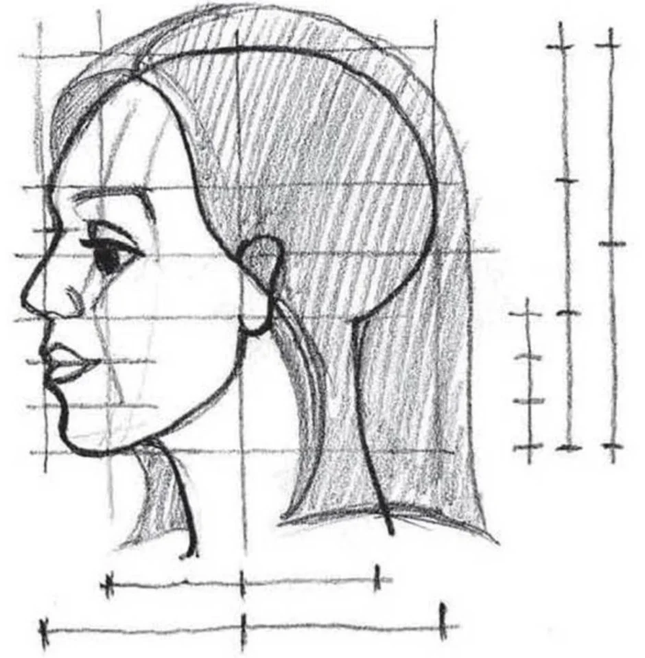 Профиль поэтапно. Пропорции лица человека в профиль. Рисование портрета в профиль. Рисование лица в профиль. Рисование головы с боку.