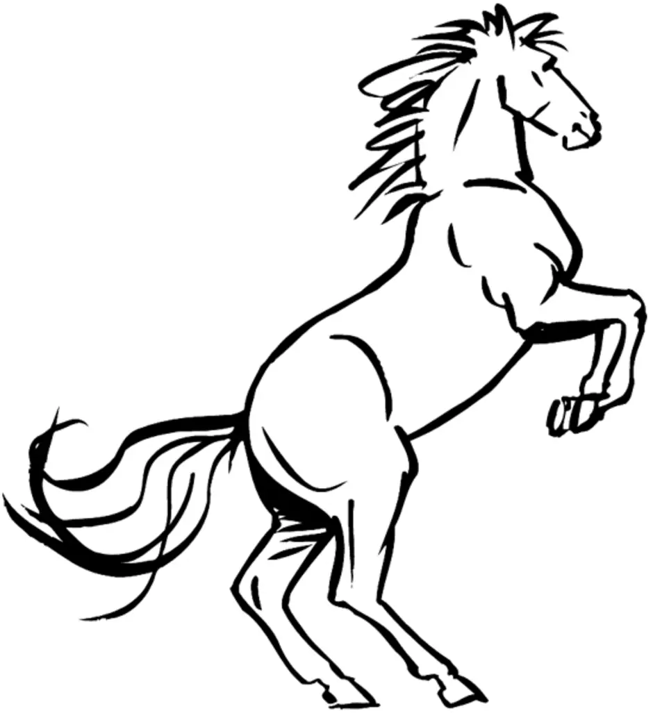 Лошадка черно белая. Лошадь рисунок. Конь на дыбах. Лошадь на дыбах. Раскраска лошадь на дыбах.