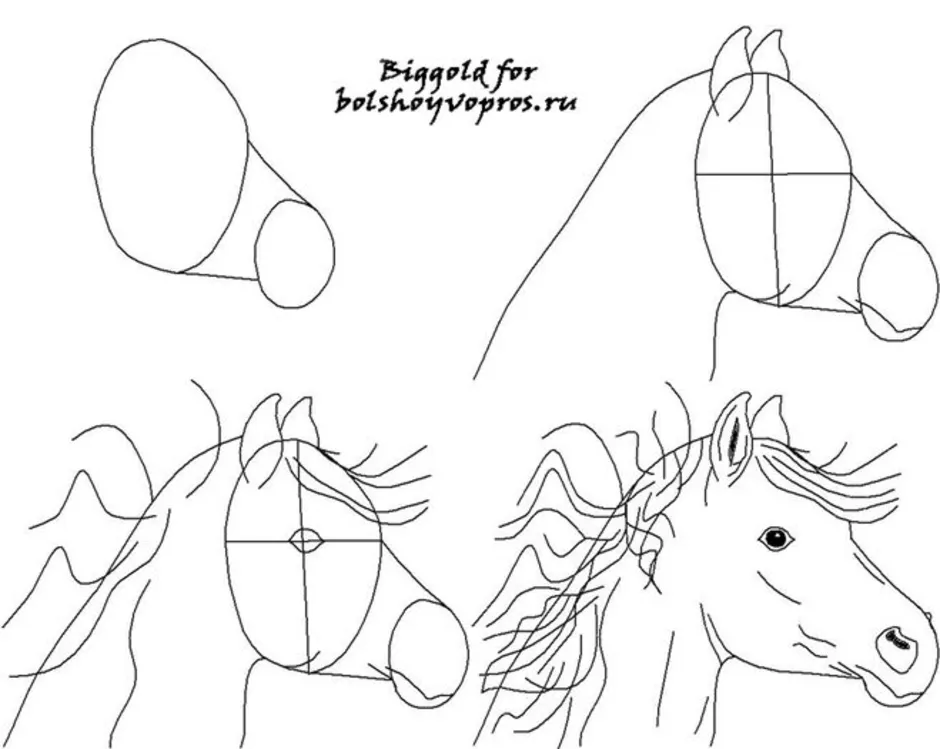 Рисуем лошадь поэтапно. Рисование морды лошади. Лошадь рисунок карандашом. Поэтапный рисунок лошади. Пошаговое рисование лошади.