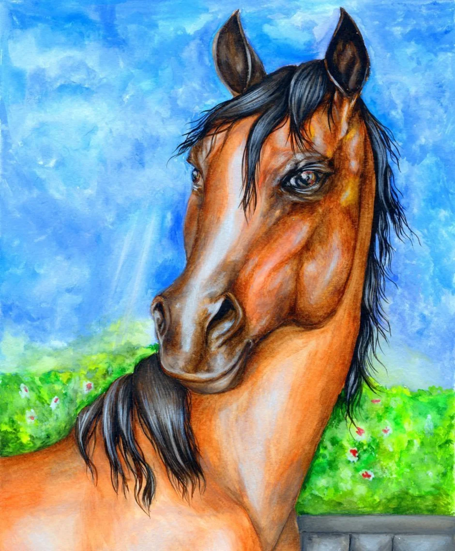 Лошадь картинки рисунки. Лошадь рисунок. Нарисовать лошадь. Красивые рисунки лошадей. Рисование лошади гуашью.