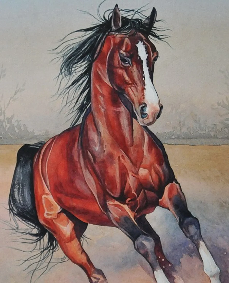 Лошадка красками. Лошадь гуашью. Конь гуашью. Лошадь красками. Лошадь рисунок.