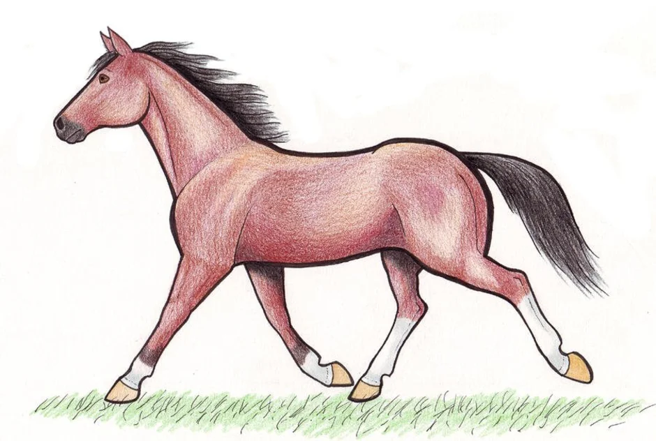 Лошадка 2 класса. Лошадь для детей. Лошадь рисунок. Конь рисовать. Лошадь рисунок для детей.