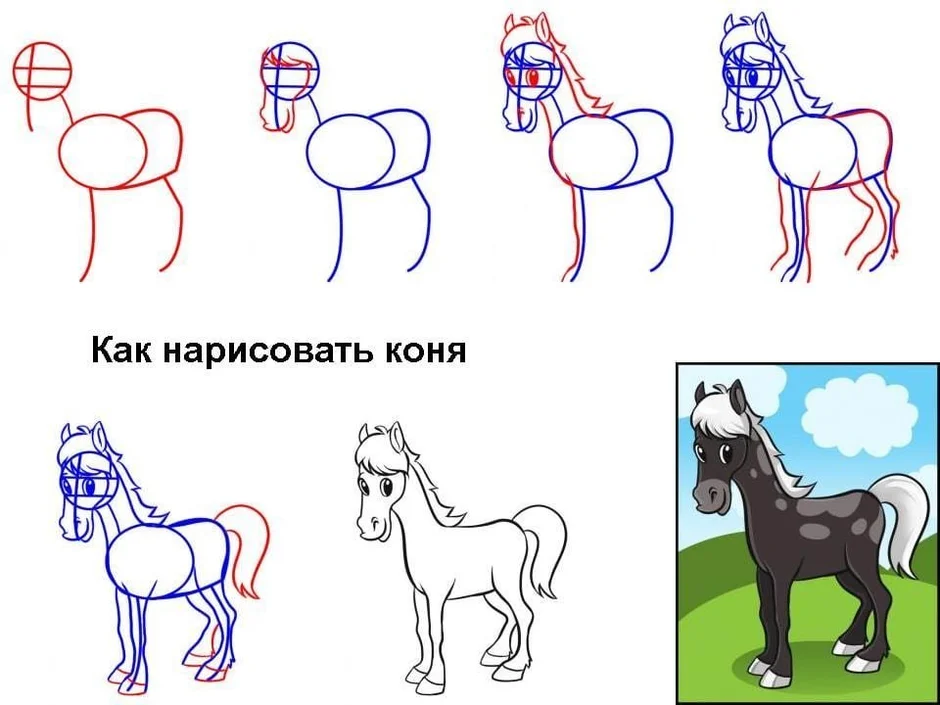 Как нарисовать жеребца