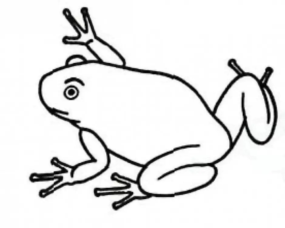 Легкие лягушки. Лягушка для рисования. Лягушка карандашом для детей. Лягушка рисунок карандашом. Лягушка рисунок для детей карандашом.