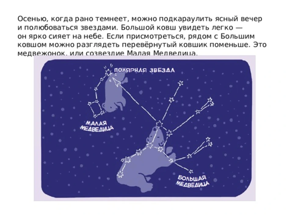 Мерещится малая медведица песня. Созвездие малой медведицы. Большая Медведица картинка. Малая Медведица рисунок.