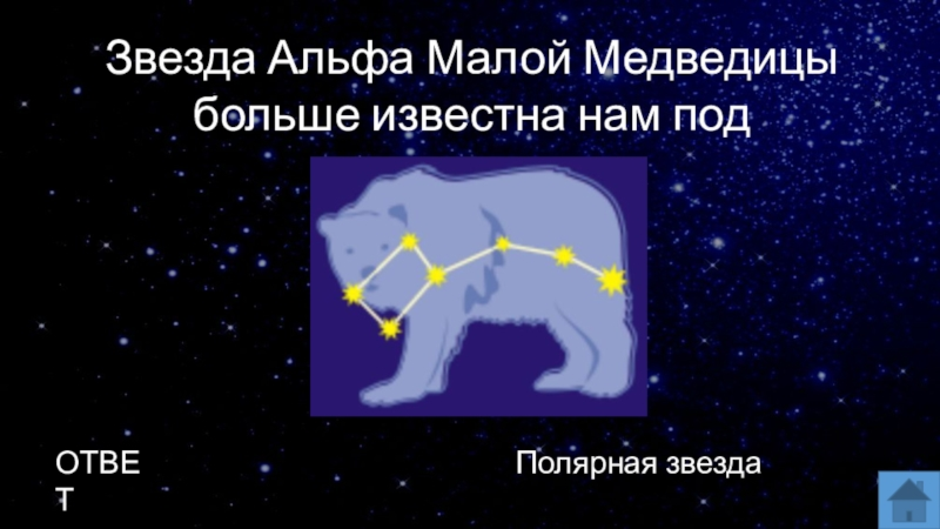 Можно ли с венеры разглядеть малую медведицу. Малая Медведица Созвездие Альфа. Большая Медведица малая Медведица и Полярная звезда. Малая Медведица Созвездие самая яркая звезда. Полярная звезда малой и большой медведицы.