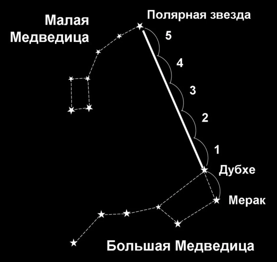 Фото большая медведица созвездие схема