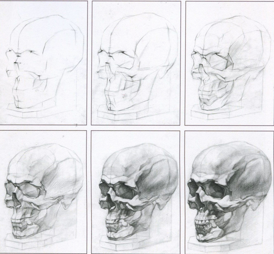 Построение головы поэтапно академический рисунок