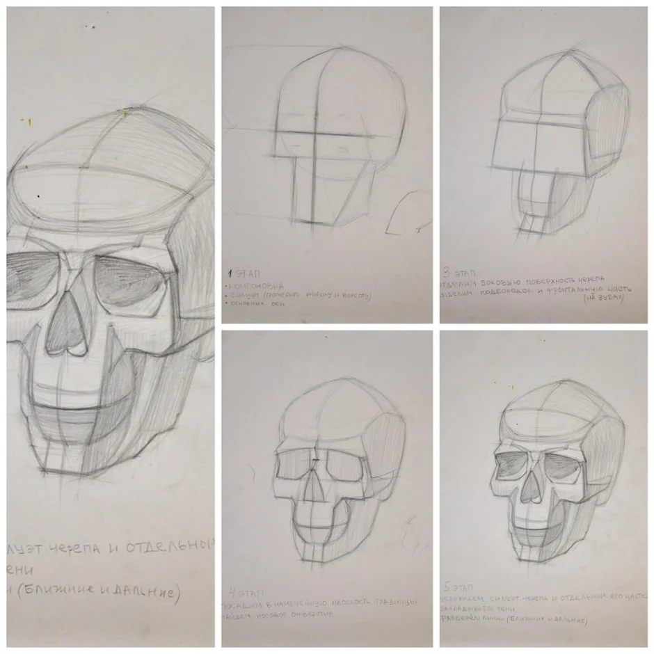 Построение головы человека академический рисунок поэтапно