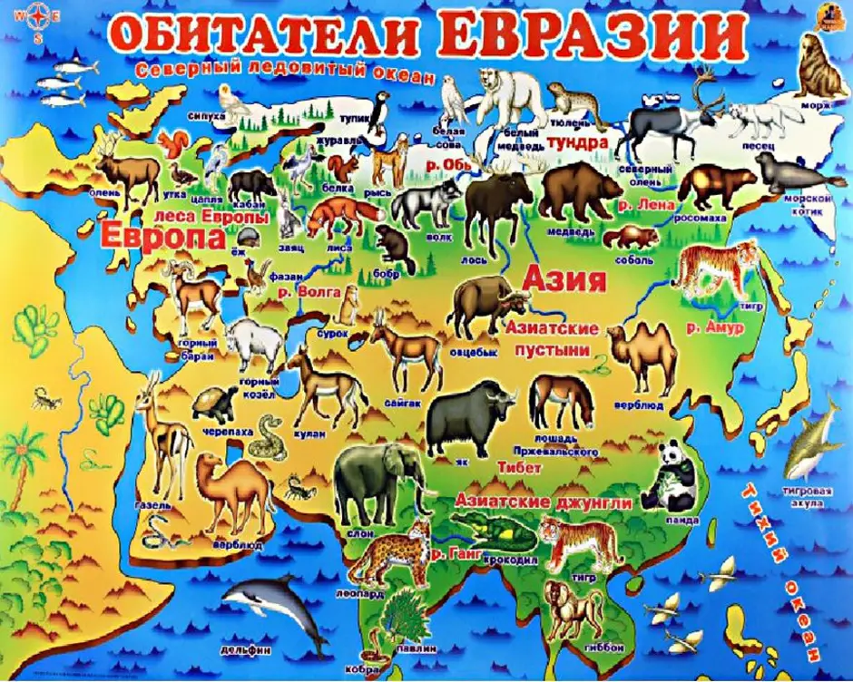 Северная евразия животный мир. Животный и растительный мир Евразии на карте. Какие животные обитают на материке Евразия. Материк Евразия на карте для детей. Животные по континентам.