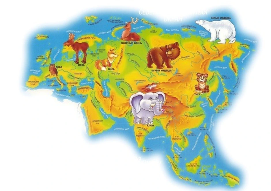 Северная евразия животный мир. Материк Евразия на карте. Материк Евразия на карте для детей. Материк Евразия животные Евразии. Континенты для дошкольников.
