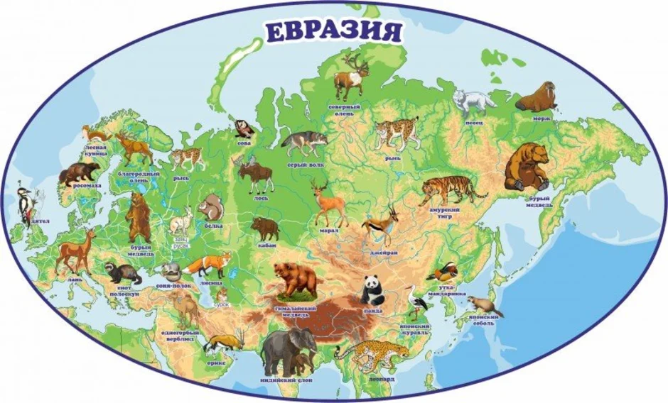 Евразия где живут. Материк Евразия животные Евразии. Физическая карта материк Евразия для детей. Животный мир Евразии карта. Материк Евразия на карте для детей.