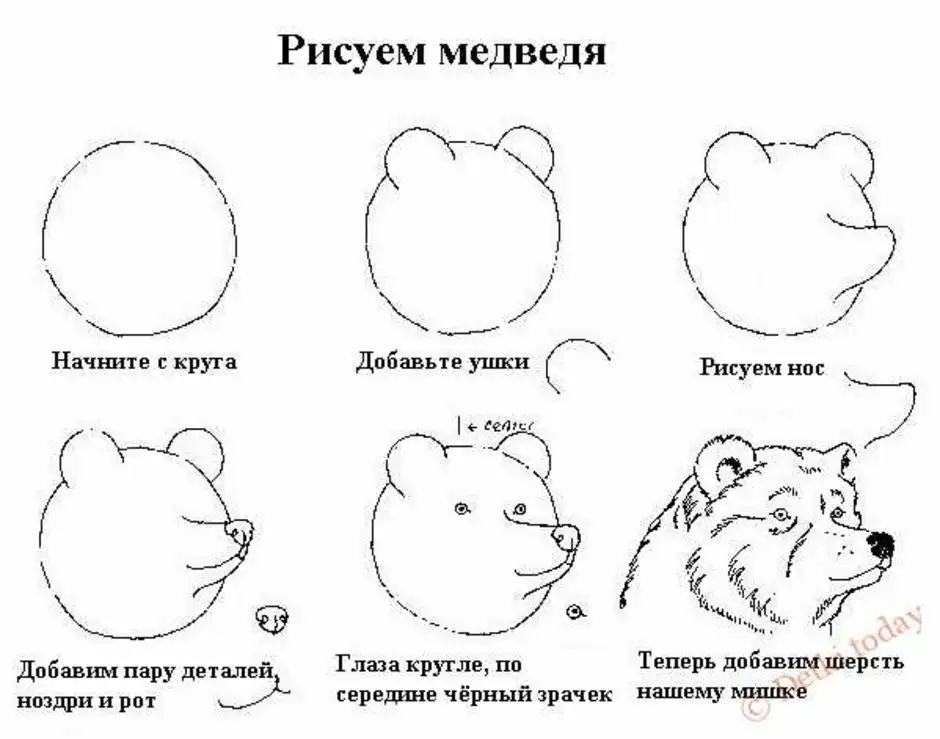 Пошаговый рисунок медведя для детей