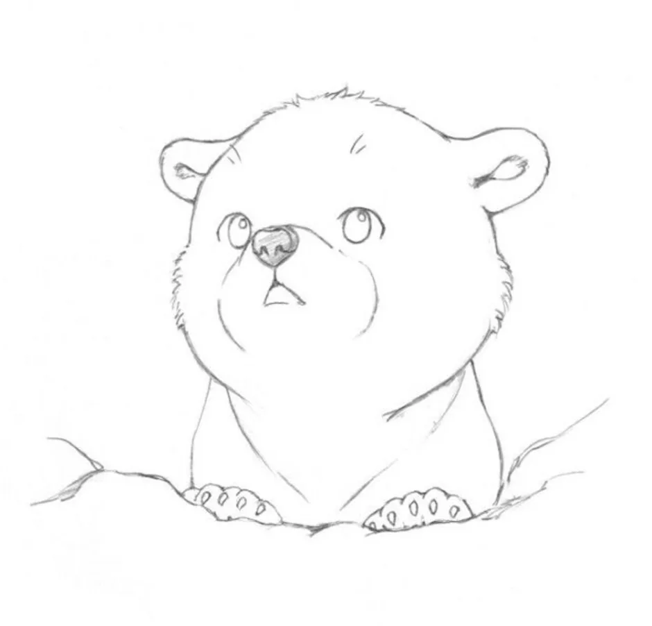 Мишки легкие карандашом. Медведь рисунок карандашом. Рискунк имедведя карандашом. Рисунок медведя карандашом для срисовки. Мишка рисунок карандашом.