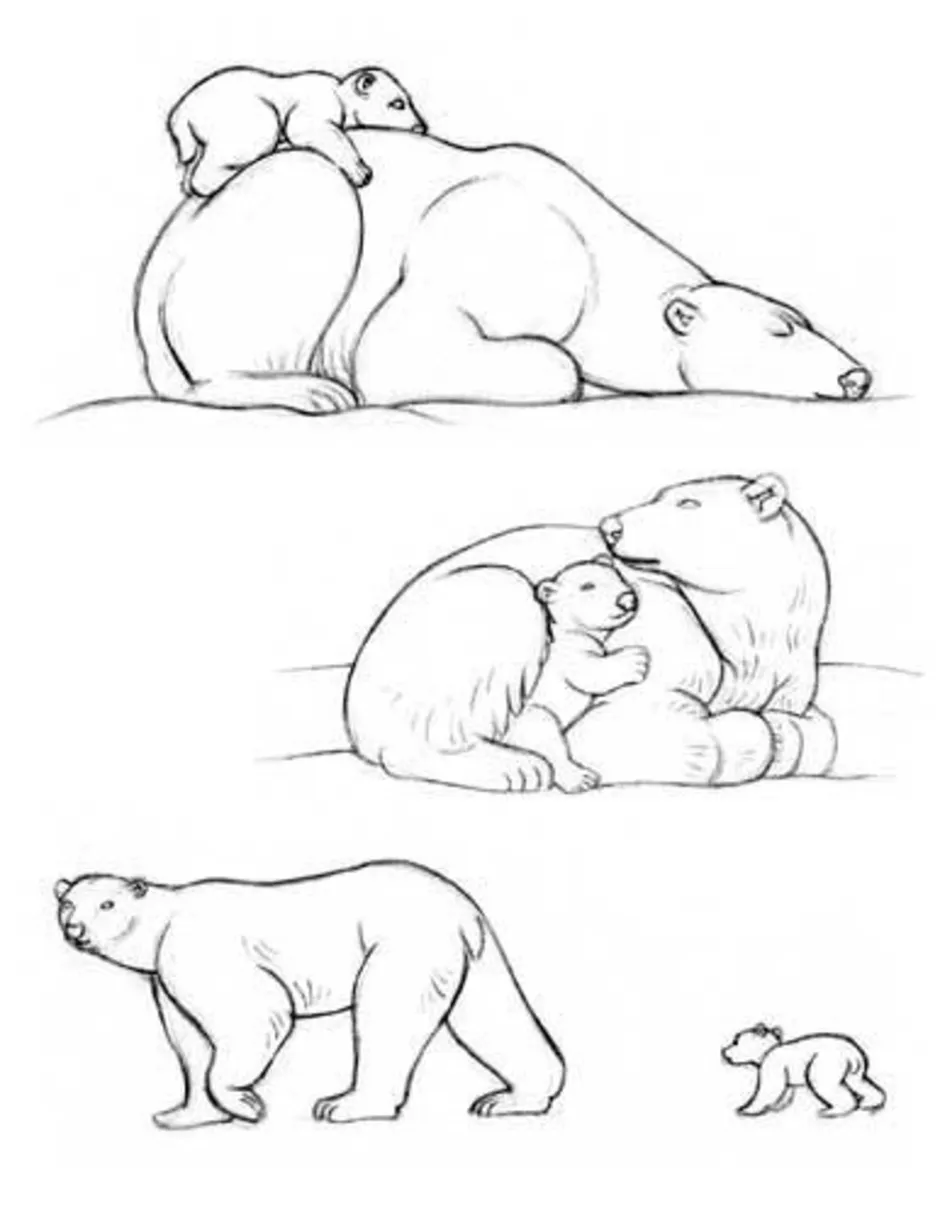 Медведица с медвежонком рисунок карандашом