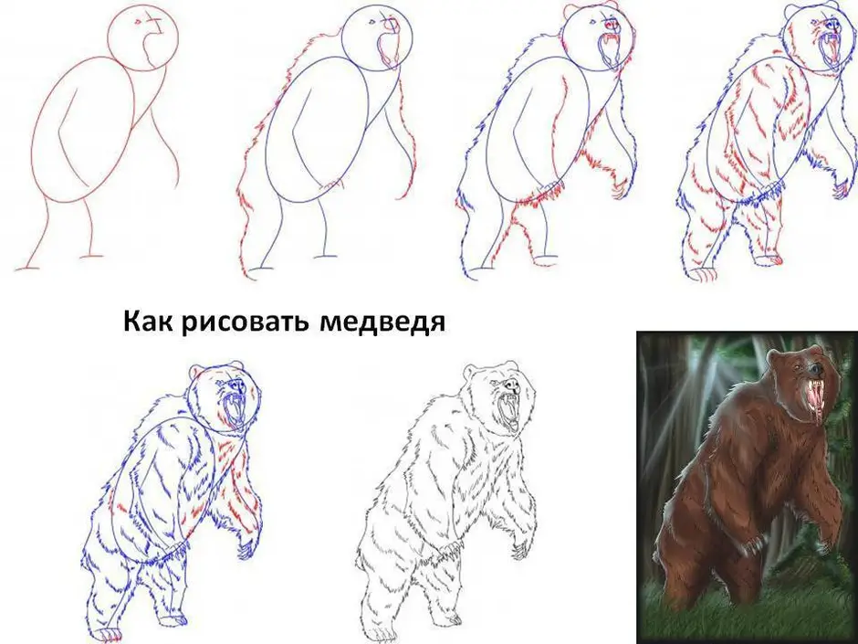 Рисунок по этапно медведь