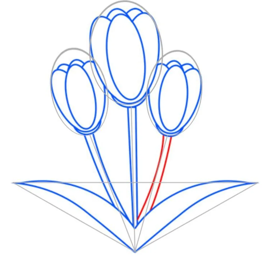 Нарисовать букет тюльпанов карандашом