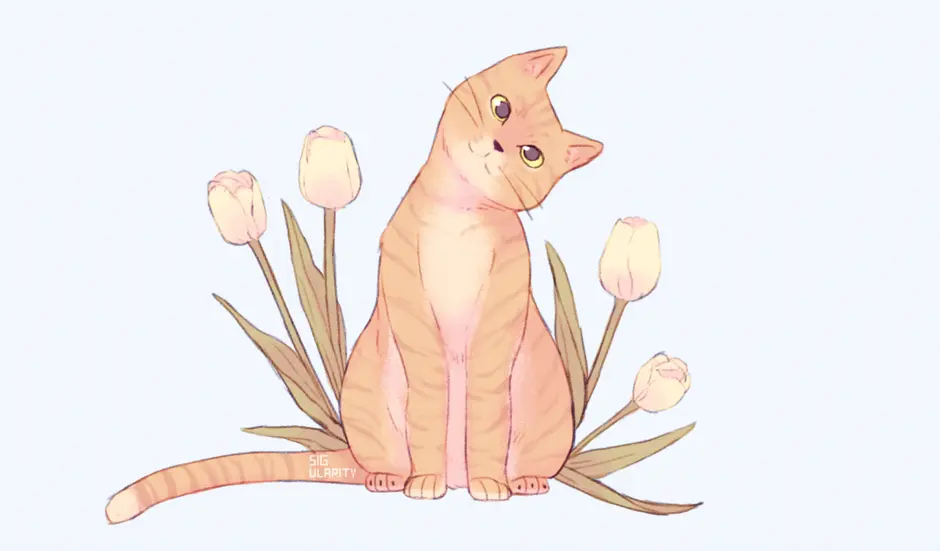 Котик сидит с цветком рисунок