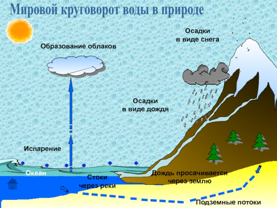 Мировой круговорот воды в природе схема. Круговорот воды в природе география 5кл.. Почему облака снизу плоские.