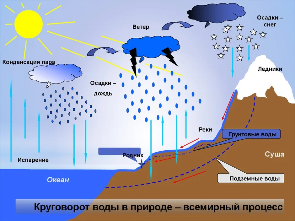 Схема водоворота воды в природе