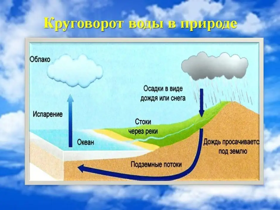 Круговорот воды в природе детский рисунок (52 фото)