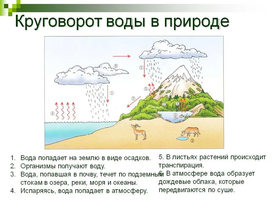 Составьте рассказ на тему круговорот воды в природе по рисунку 97