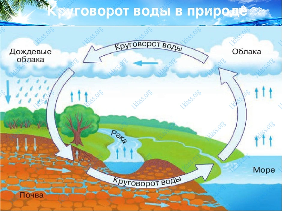 Мировой круговорот воды рисунок