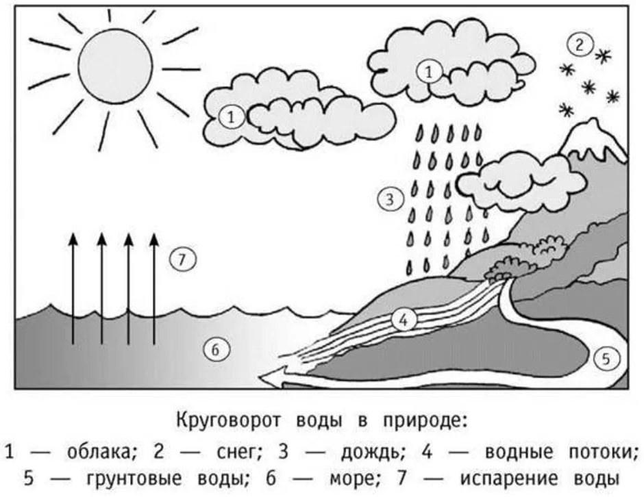 Какой процесс мирового круговорота воды отмечен на рисунке знаком вопроса