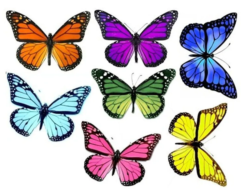 Бабочки для торта картинки для печати. Разноцветные бабочки. Бабочки цветные. Красивые разноцветные бабочки. Разноцветные бабочки для вырезания.