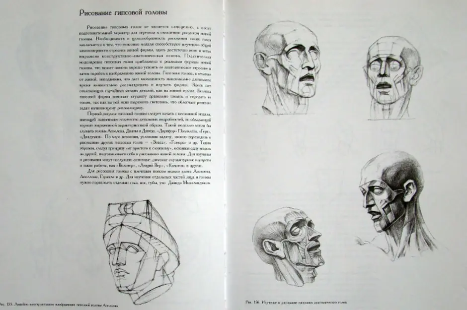 Рисунок основы учебного академического рисунка николай ли книга