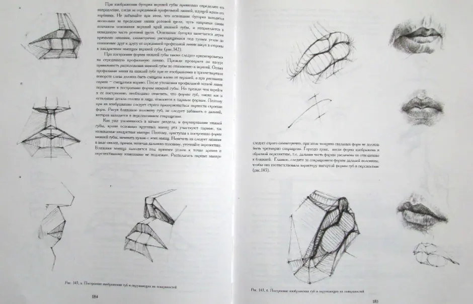 Голова человека основы учебного академического рисунка читать