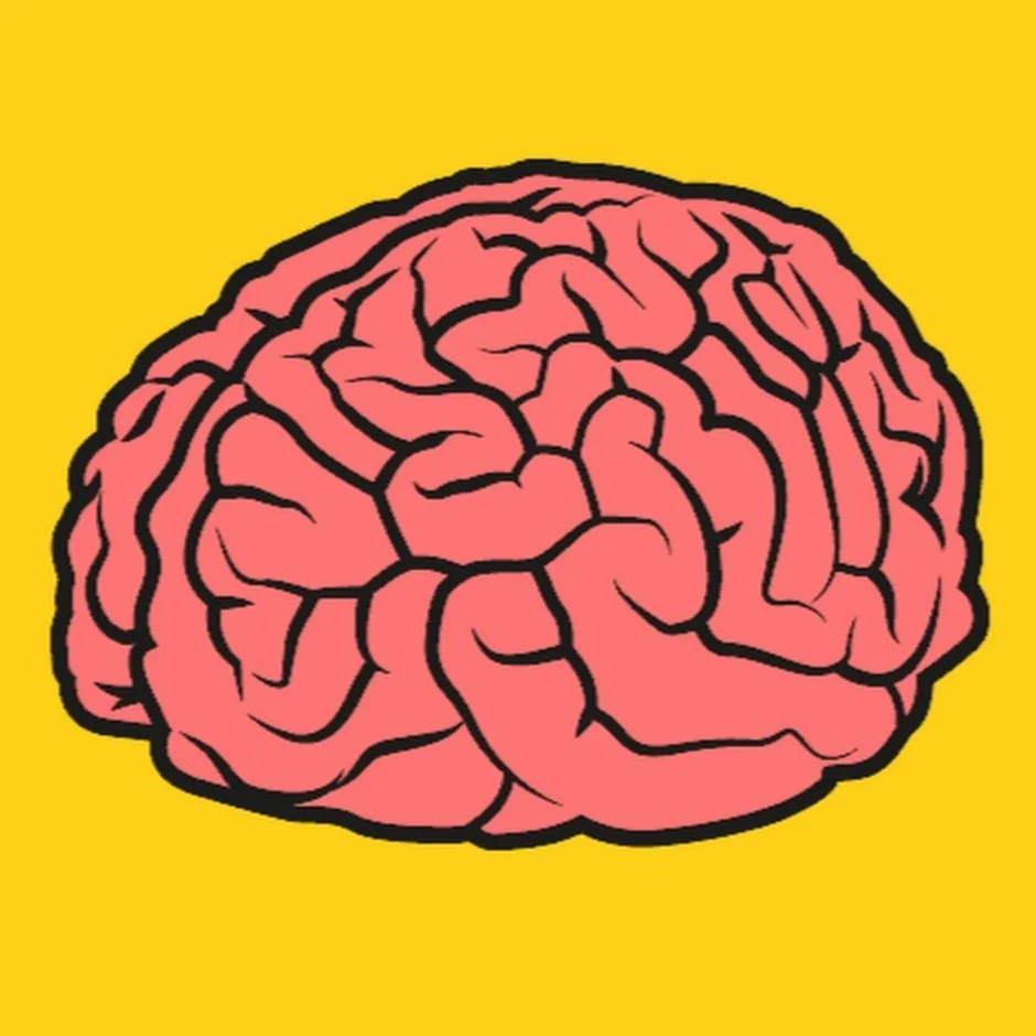 Brain 55. Мозг рисунок. Мозг раскраска. Мозг нарисованный. Мозг рисунок легкий.