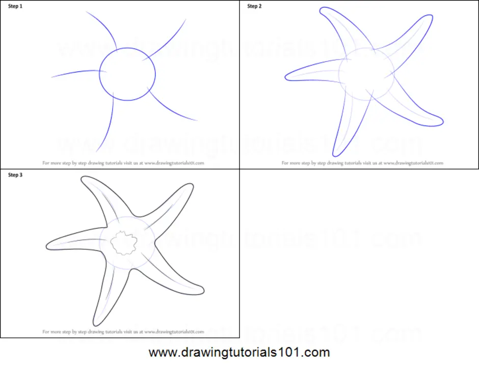 Как нарисовать морскую. Поэтапное рисование морской звезды. Как рисовать морскую звезду. Как нарисовать морскую звезду поэтапно. Поэтапное рисование звезды.