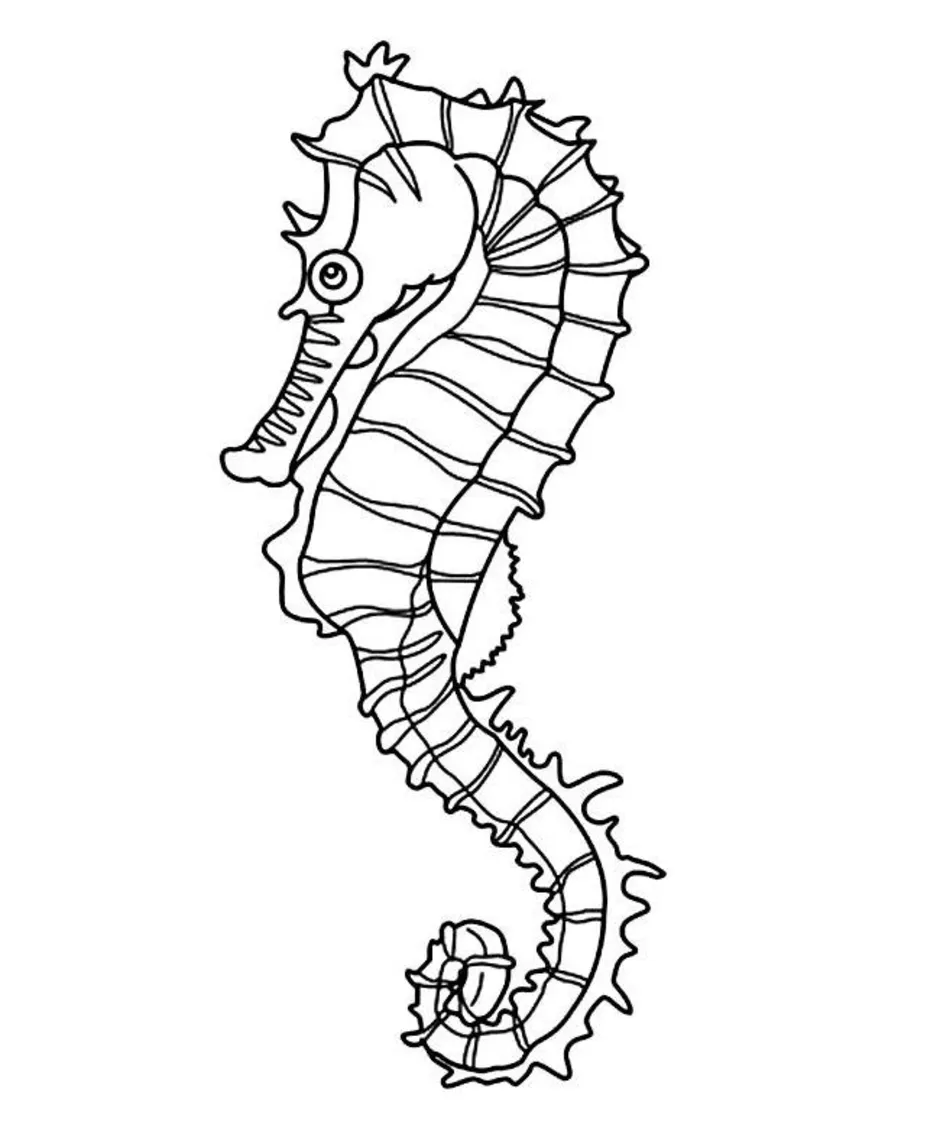 Рисунок морского конька карандашом